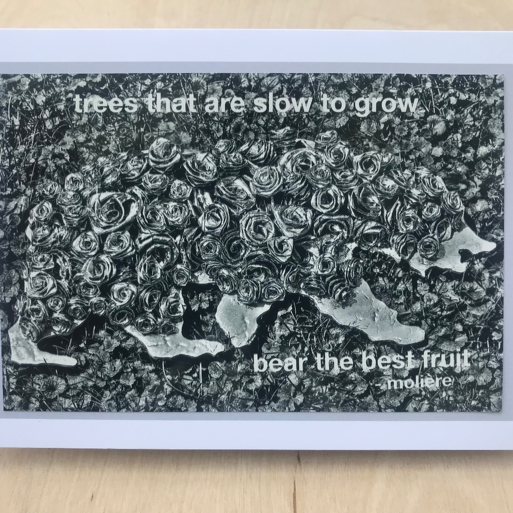 trees that are slow to grow bear the best fruit patience quote greeting card